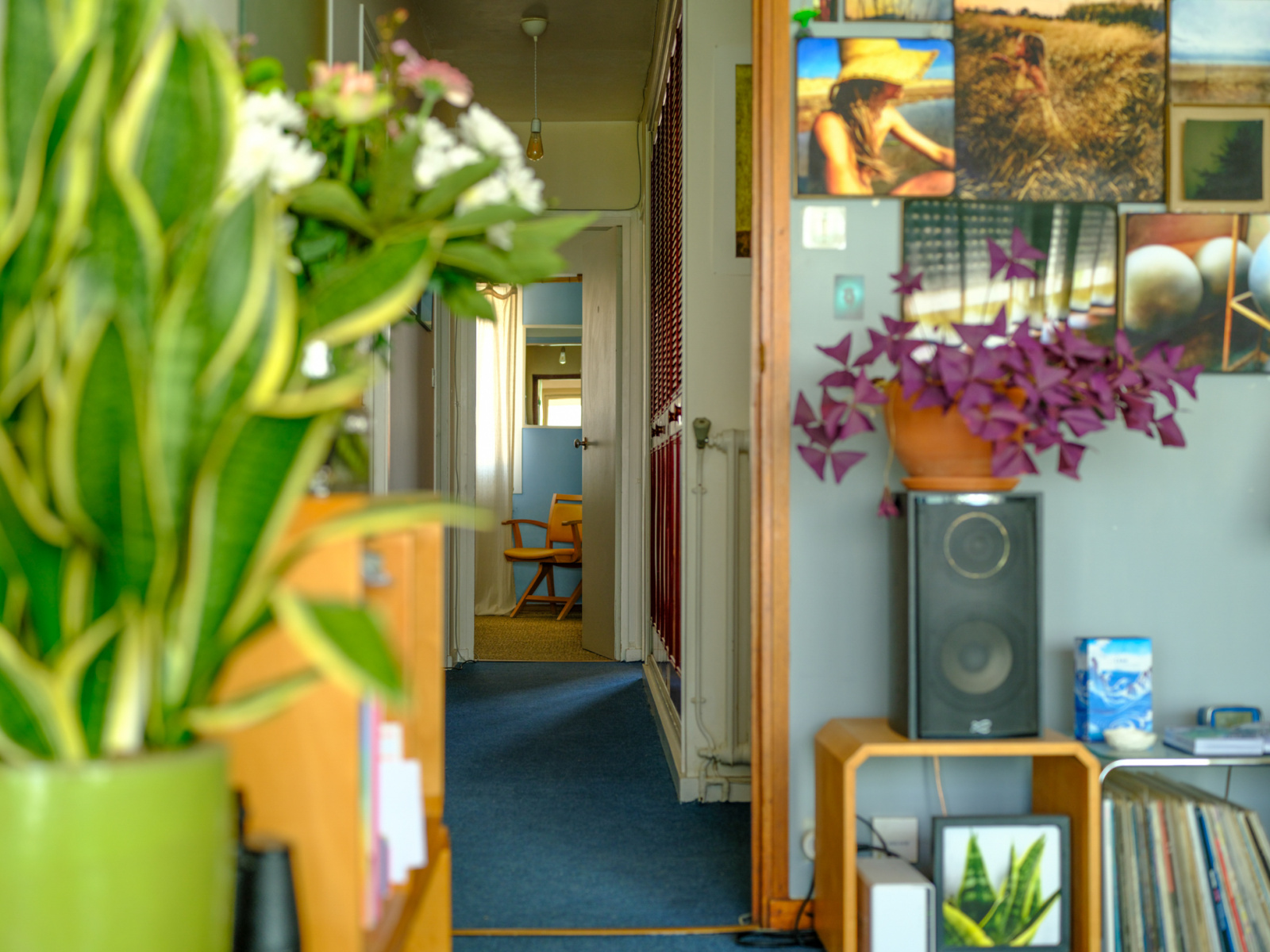 Image_8, Appartement, Les Sables-d'Olonne, ref :23022024