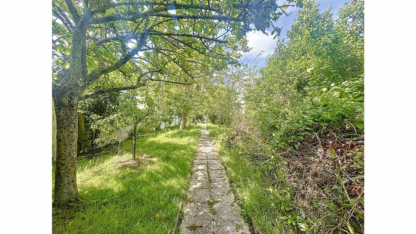 Image_1, Maison, Château d'Olonne, ref :3276