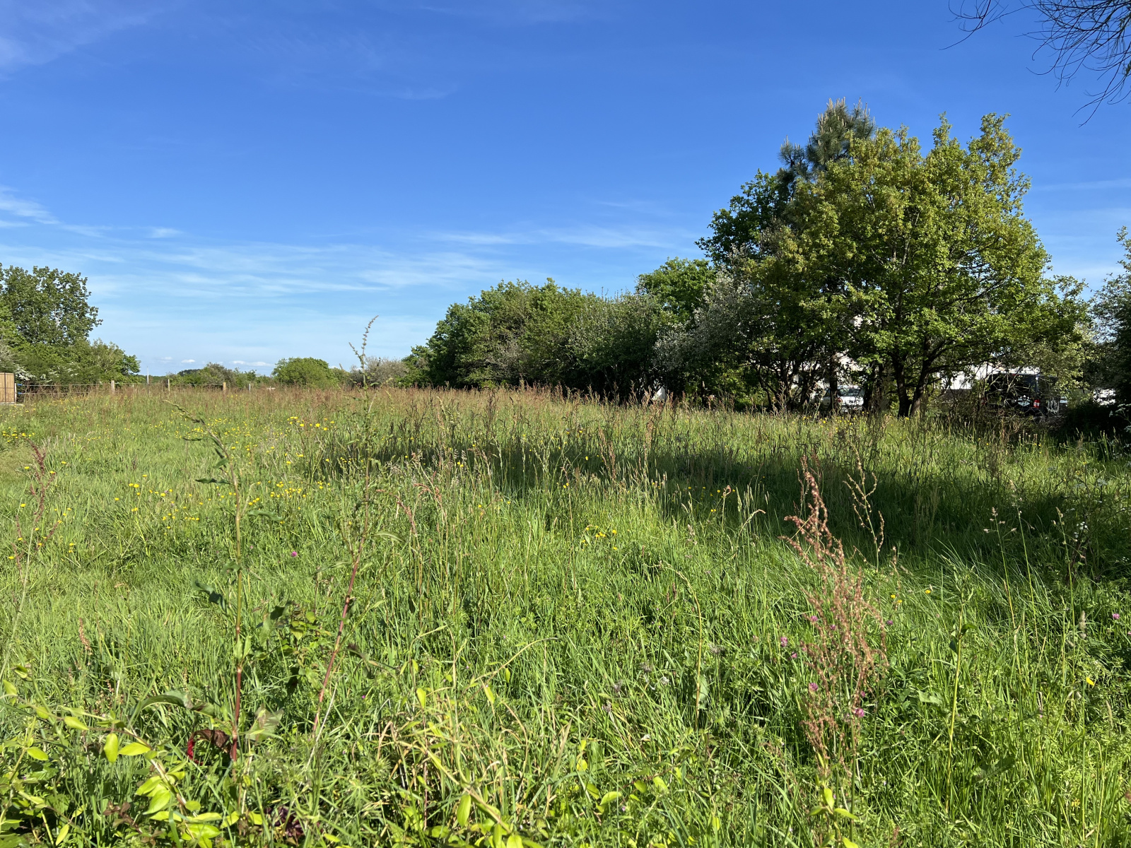 Image_3, Terrain, Les Sables-d'Olonne, ref :4159