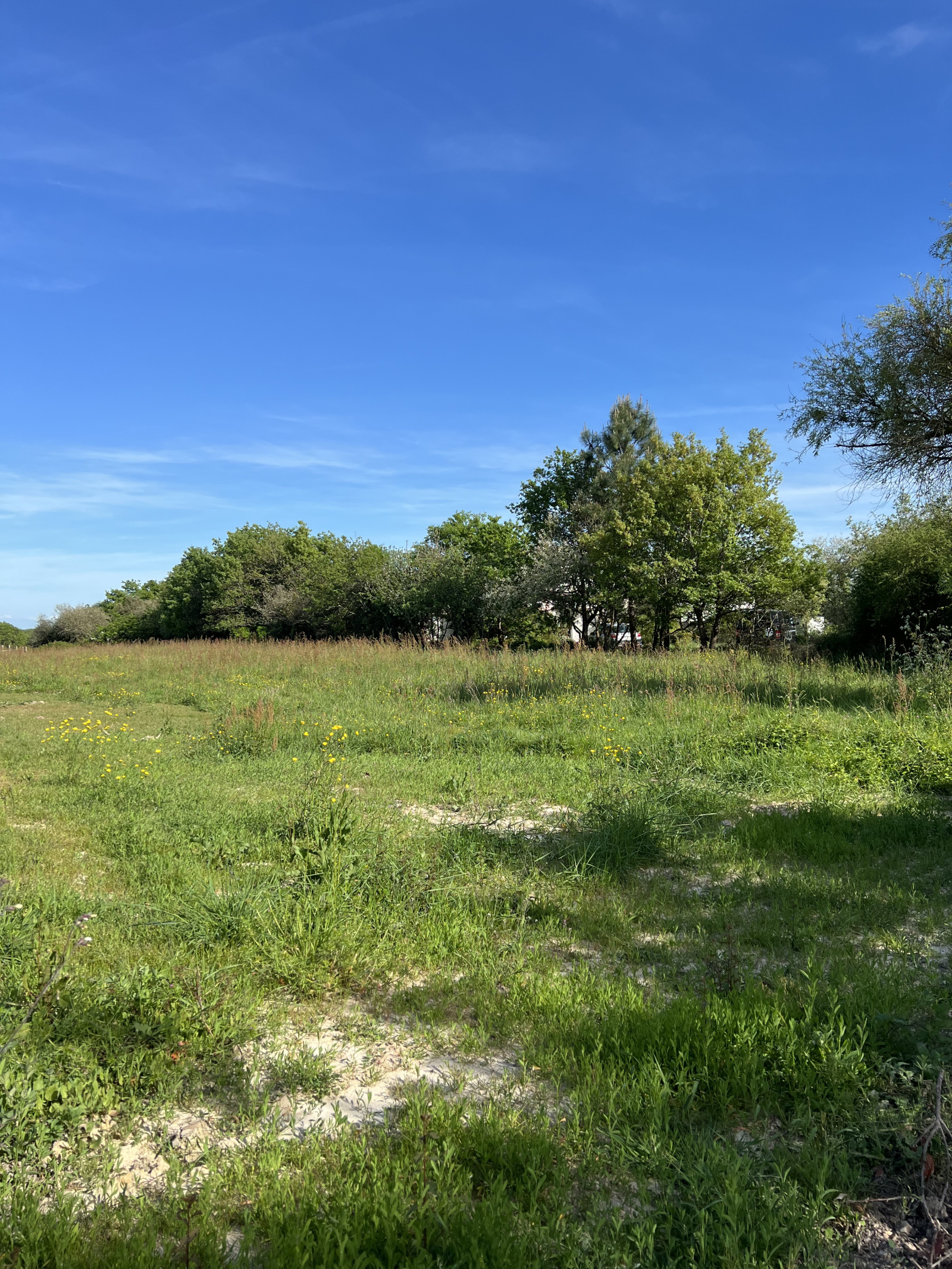 Image_5, Terrain, Les Sables-d'Olonne, ref :4159