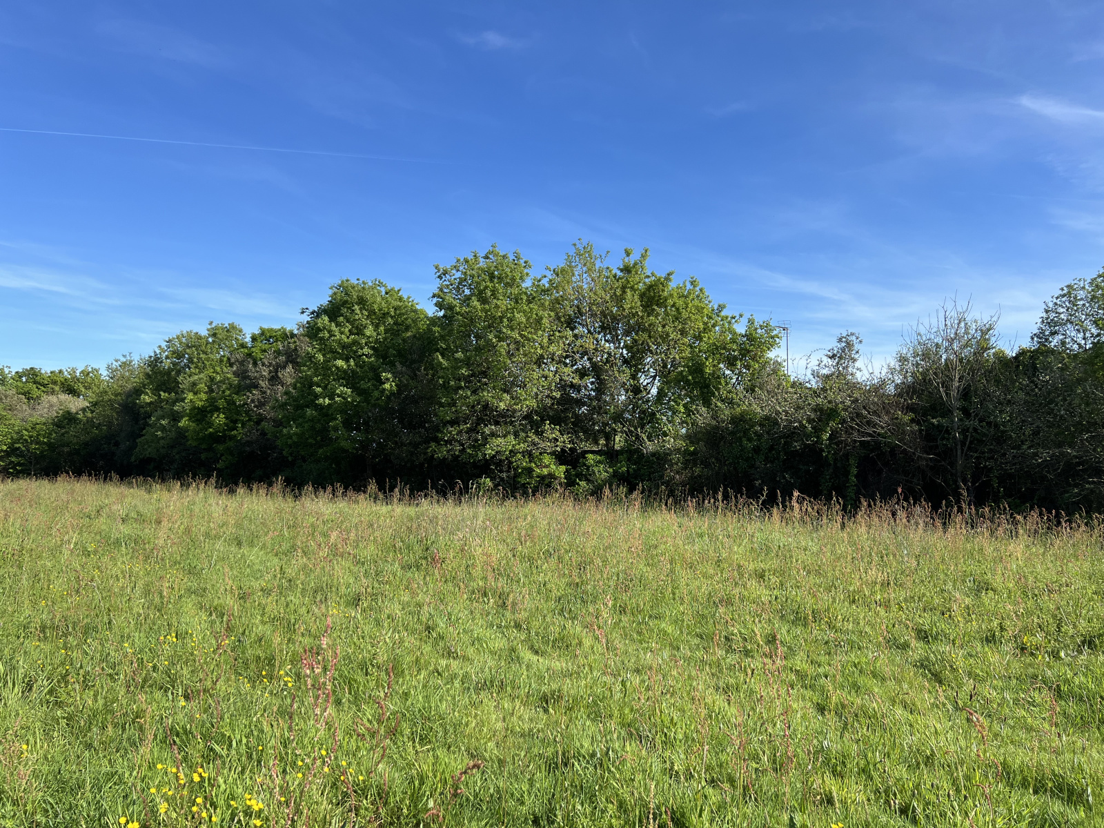 Image_1, Terrain, Les Sables-d'Olonne, ref :4097